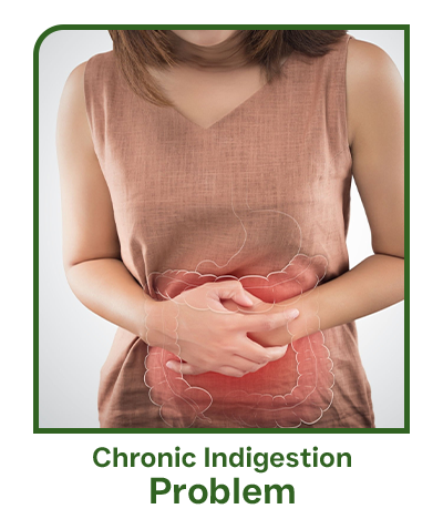 chronic indigestion problem