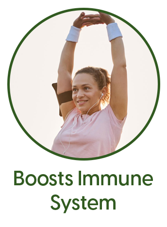 boosts Immune System
